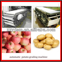 machine complètement automatique de potato / apple / kiwi / oranges